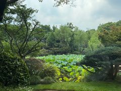 -杭州西子湖四季酒店·金沙厅