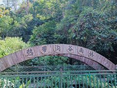 -西双版纳原始森林公园