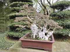 -南山植物园