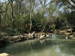 -兰亭风景区