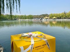 -5Cake五度无蔗糖低脂蛋糕(陶然亭店)