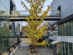 -回龙窝历史文化街区