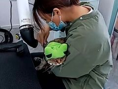 -爱洗澡的猫(望京店)