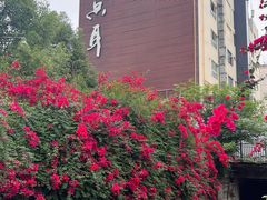 -玉滋補