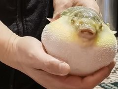 -永安鱼庄·镇江菜(丁卯店)