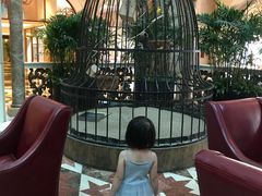 -深圳东部华侨城茵特拉根酒店