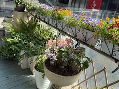 -方津口腔(旺墩路店)