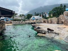 -珠海长隆海洋王国