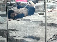 -武汉动物园