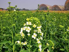 -中国天府农业博览园