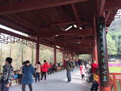 -重庆彩云湖湿地公园