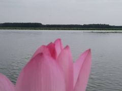 -微山湖湖畔好客居鱼馆渔家菜(微山湖风景区店)