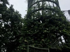 -三鹰之森吉卜力美术馆