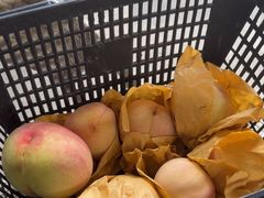 -南汇新场正宗水蜜桃采摘