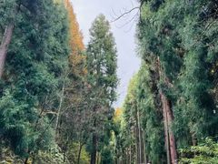 -太阳湾风景区
