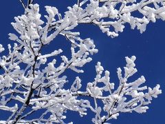 -崂山巨峰游览区