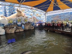 -华夏文旅海洋公园