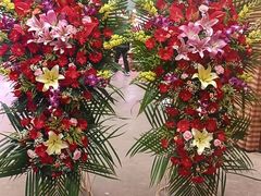 -花鸟鱼虫鲜花绿植市场(玉泉路店)