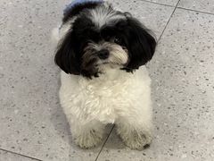 -FAELING PETS美天灵宠物(富力广场店)
