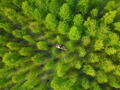 -泗洪洪泽湖湿地景区