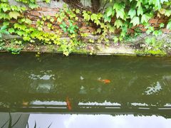 -谷咖啡·鲜花绿植花园餐厅