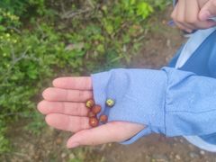 -蟠龙山长城景区