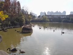 -南昌动物园