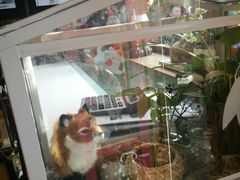 -狐狸家·酸奶酪专门店(平江路店)