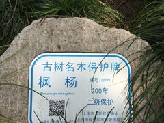 -汇龙潭