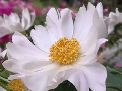 -长春公园(普阳街道)