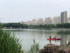 -南翔镇银翔湖公园