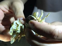 -嵊泗基湖沙滩