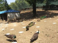 -祥源·阜阳生态乐园