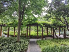 -徐家汇源景区-衡山公园