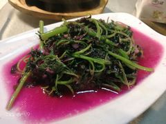 -阿巧一号私房菜(止园路店)