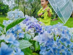 -人民公园(罗湖区)