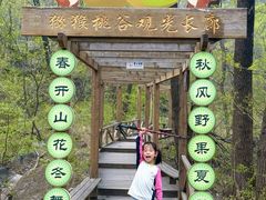 -大岭沟猕猴桃谷风景区