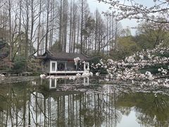 -杭州植物园