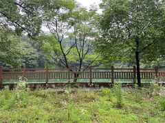 -潜山国家森林公园