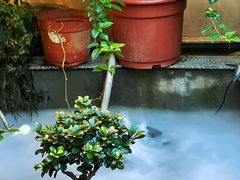 -王捌小院(红花坡店)