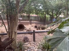 -费瑟代尔野生动物园