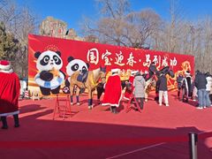 -秦皇岛野生动物园