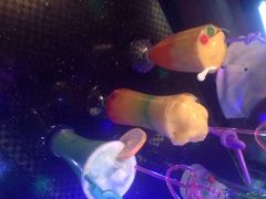 东方金柜量贩式KTV(凯德店)-东方金柜(郑州金水印象汇店)