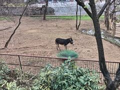 -柳州市动物园