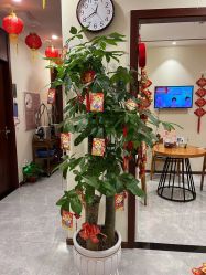 -馨园中式经络美容