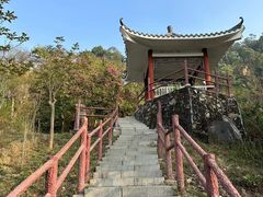 -水濂山森林公园