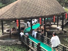 -明月山天沐温泉度假村