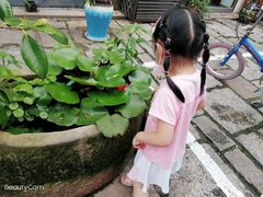 -川沙古镇-停车场