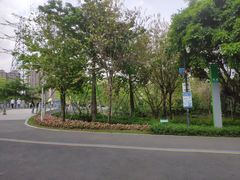 -顺峰山公园