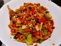 鸭掌筋-壹盏灯(惠农店)